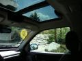 Java Black Pearl - Freelander SE3 Photo No. 10