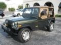 Moss Green Pearl 1995 Jeep Wrangler Rio Grande 4x4