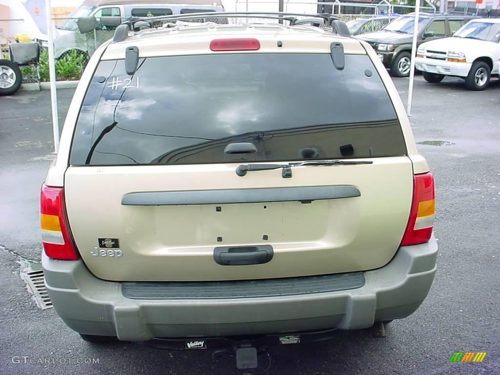 1999 Grand Cherokee Laredo 4x4 - Champagne Pearl / Camel photo #4