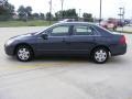 2006 Graphite Pearl Honda Accord LX Sedan  photo #6