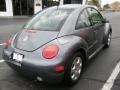 2003 Platinum Grey Metallic Volkswagen New Beetle GLS Coupe  photo #5