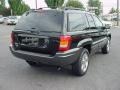 2004 Brillant Black Crystal Pearl Jeep Grand Cherokee Laredo 4x4  photo #6