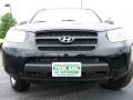 Ebony Black - Santa Fe GLS Photo No. 3