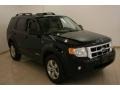 2008 Black Ford Escape XLT V6 4WD  photo #1