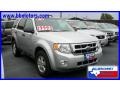 Silver Metallic - Escape XLT V6 Photo No. 4