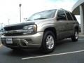 Light Pewter Metallic - TrailBlazer LS Photo No. 1