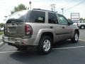 Light Pewter Metallic - TrailBlazer LS Photo No. 6