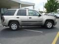 Light Pewter Metallic - TrailBlazer LS Photo No. 7