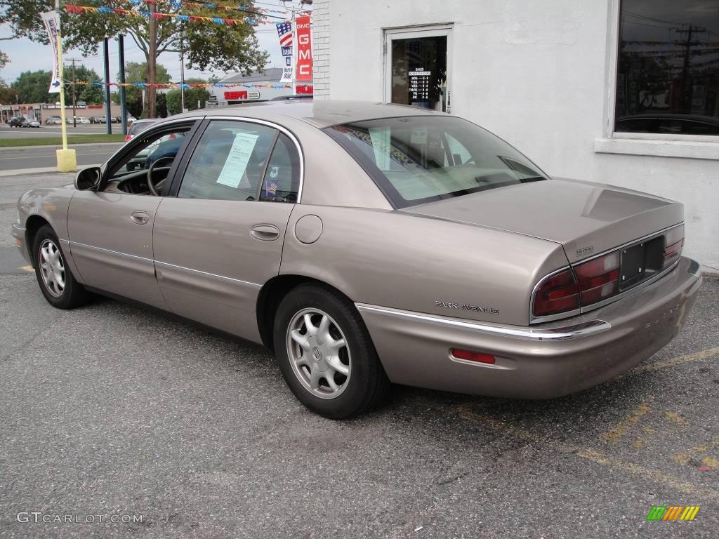 2003 Park Avenue  - Sterling Silver Metallic / Taupe photo #4