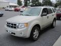 2008 Light Sage Metallic Ford Escape XLT 4WD  photo #3