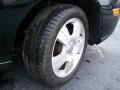 Pitch Black - Focus ZX5 SES Hatchback Photo No. 8