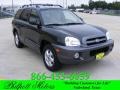 2006 Dark Emerald Green Hyundai Santa Fe GLS  photo #1