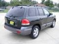 2006 Dark Emerald Green Hyundai Santa Fe GLS  photo #3