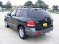 2006 Dark Emerald Green Hyundai Santa Fe GLS  photo #5