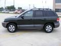 2006 Dark Emerald Green Hyundai Santa Fe GLS  photo #6