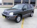 2006 Dark Emerald Green Hyundai Santa Fe GLS  photo #7