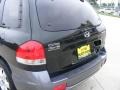 2006 Dark Emerald Green Hyundai Santa Fe GLS  photo #24