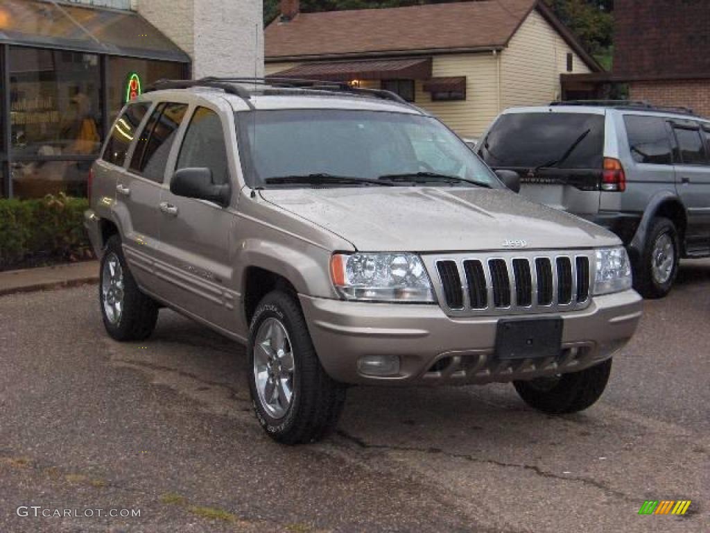 2003 Grand Cherokee Limited 4x4 - Light Pewter Metallic / Dark Slate Gray photo #1