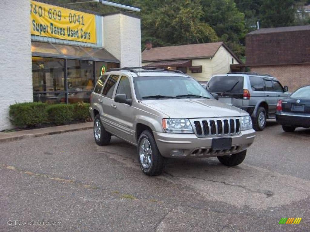 2003 Grand Cherokee Limited 4x4 - Light Pewter Metallic / Dark Slate Gray photo #2