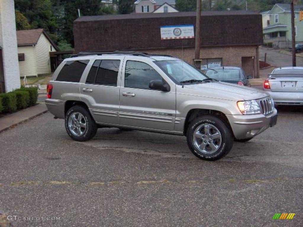2003 Grand Cherokee Limited 4x4 - Light Pewter Metallic / Dark Slate Gray photo #3