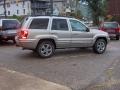 2003 Light Pewter Metallic Jeep Grand Cherokee Limited 4x4  photo #4