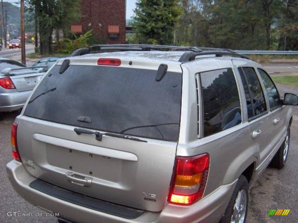 2003 Grand Cherokee Limited 4x4 - Light Pewter Metallic / Dark Slate Gray photo #5