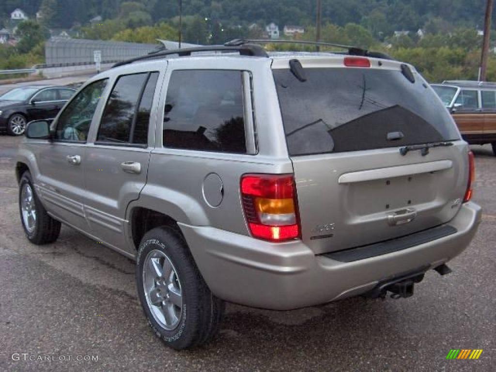 2003 Grand Cherokee Limited 4x4 - Light Pewter Metallic / Dark Slate Gray photo #7