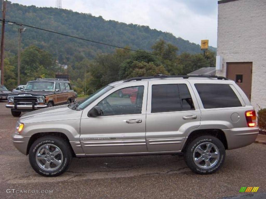 2003 Grand Cherokee Limited 4x4 - Light Pewter Metallic / Dark Slate Gray photo #8