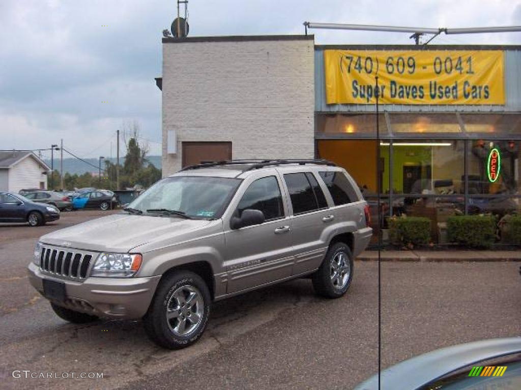 2003 Grand Cherokee Limited 4x4 - Light Pewter Metallic / Dark Slate Gray photo #9