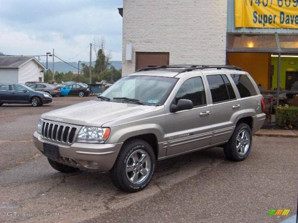 2003 Grand Cherokee Limited 4x4 - Light Pewter Metallic / Dark Slate Gray photo #10