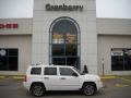 2009 Stone White Jeep Patriot Limited 4x4  photo #1