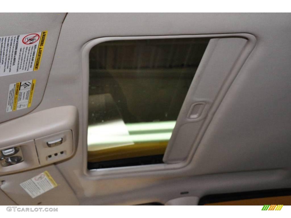 2004 Aviator Luxury AWD - Vivid Red Metallic / Light Parchment photo #9