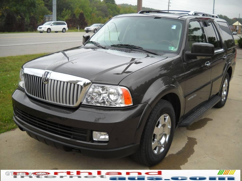 2006 Navigator Luxury 4x4 - Charcoal Beige Metallic / Camel photo #13