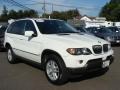 Alpine White - X5 3.0i Photo No. 2