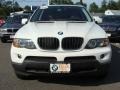Alpine White - X5 3.0i Photo No. 3