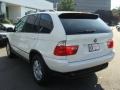 Alpine White - X5 3.0i Photo No. 6