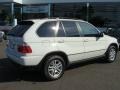 Alpine White - X5 3.0i Photo No. 8