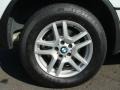 Alpine White - X5 3.0i Photo No. 24