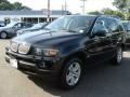 2006 Jet Black BMW X5 4.4i  photo #4