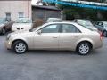 Sand Storm - CTS Sedan Photo No. 2