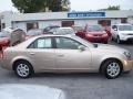 Sand Storm - CTS Sedan Photo No. 6