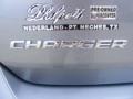 Silver Steel Metallic - Charger  Photo No. 20
