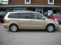 2007 Sonora Gold Hyundai Entourage GLS  photo #2