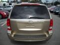 2007 Sonora Gold Hyundai Entourage GLS  photo #4