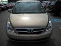 2007 Sonora Gold Hyundai Entourage GLS  photo #16