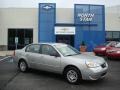 2007 Silverstone Metallic Chevrolet Malibu LS Sedan  photo #1