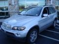 2004 Titanium Silver Metallic BMW X5 4.4i  photo #2