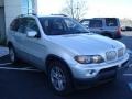 2004 Titanium Silver Metallic BMW X5 4.4i  photo #5