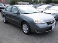 2006 Medium Gray Metallic Chevrolet Malibu LT Sedan  photo #2