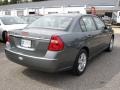 2006 Medium Gray Metallic Chevrolet Malibu LT Sedan  photo #4